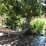 Ξενοδοχείο Adrasan Gelidonya Hotel Adrasan