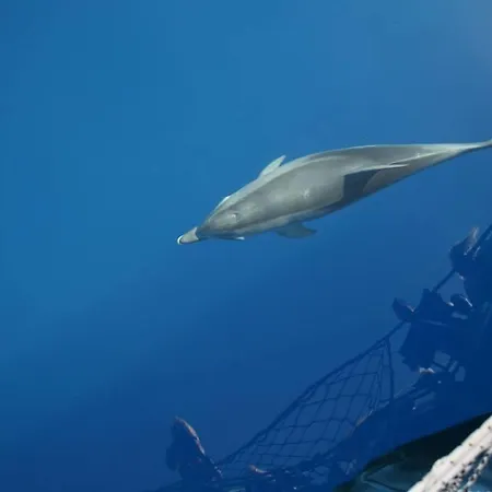 Hotel Adrasan Gelidonya Hotel