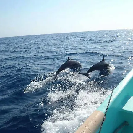 Adrasan Gelidonya Hotel 2* Adrasan