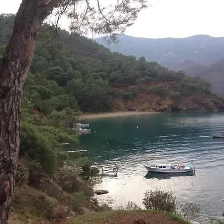 Hotel Adrasan Gelidonya Hotel 2*