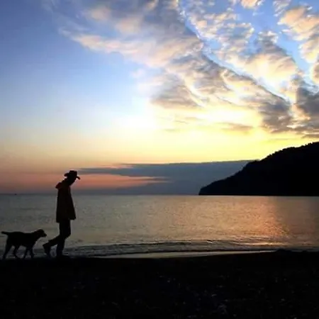 Adrasan Gelidonya Hotel Hotel 2*