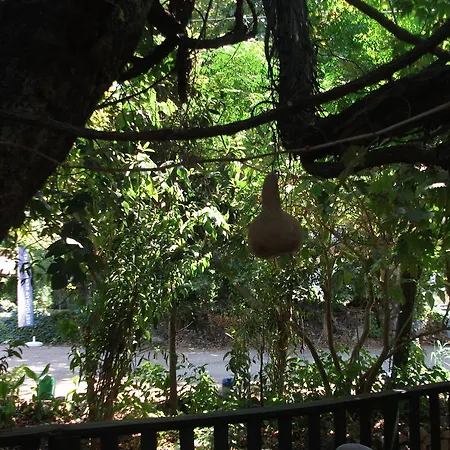 Hotel Adrasan Gelidonya Hotel