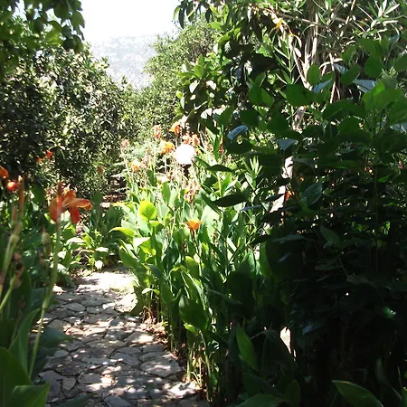 Hotel Adrasan Gelidonya Hotel 2*