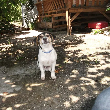 Adrasan Gelidonya Hotel Hotel 2*