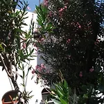 Adrasan Gelidonya Hotel Adrasan