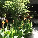 Szálloda Adrasan Gelidonya Hotel Adrasan