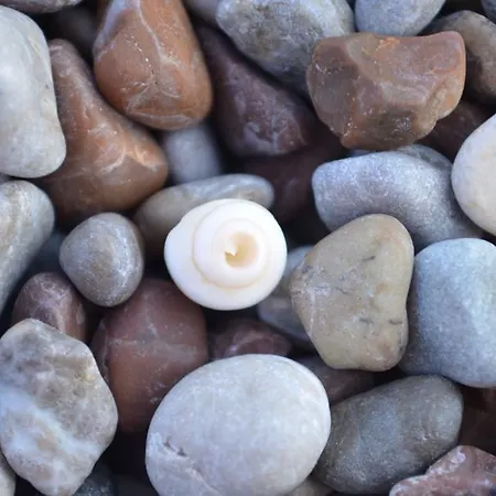 Adrasan Gelidonya Hotel