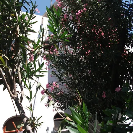 Adrasan Gelidonya Hotel Adrasan