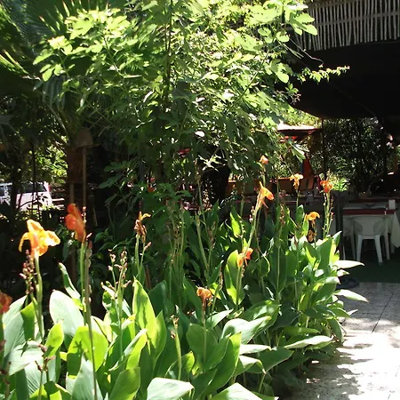 Hotel Adrasan Gelidonya Hotel Adrasan