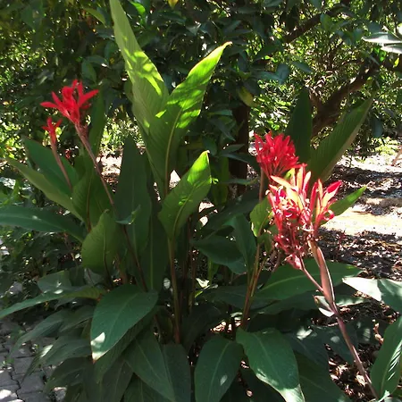 Adrasan Gelidonya Hotel