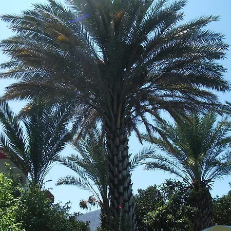 Adrasan Gelidonya Hotel 2* Adrasan