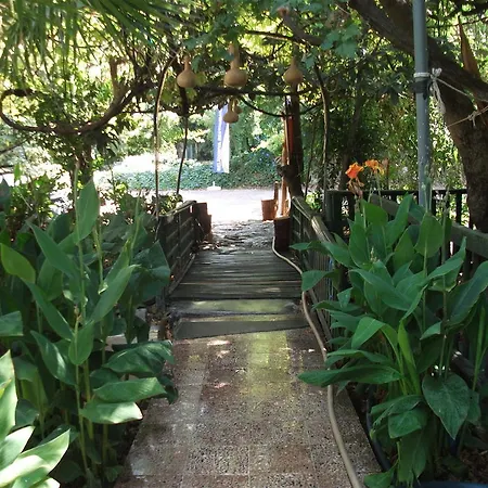 Adrasan Gelidonya Hotel Hotel 2*