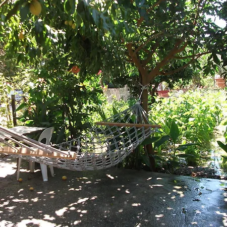 Hotel Adrasan Gelidonya Hotel Adrasan