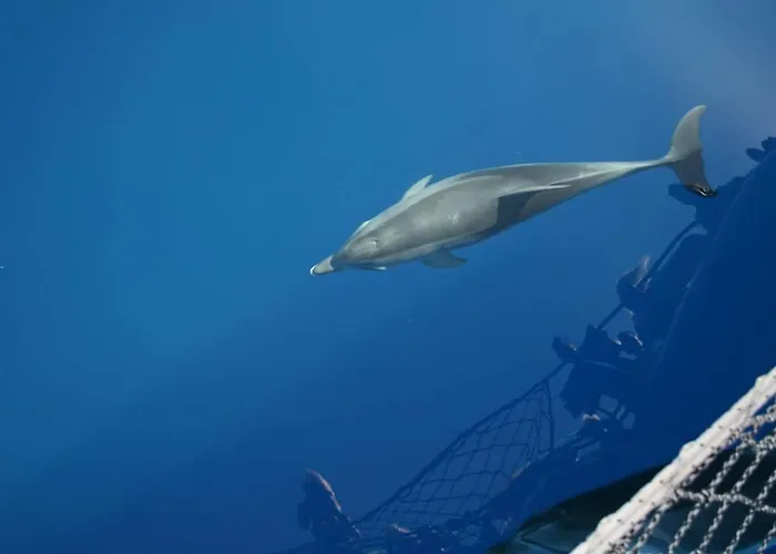 Szálloda Adrasan Gelidonya Hotel