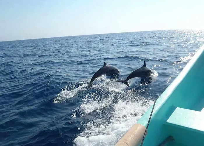 Adrasan Gelidonya Hotel 2* Adrasan