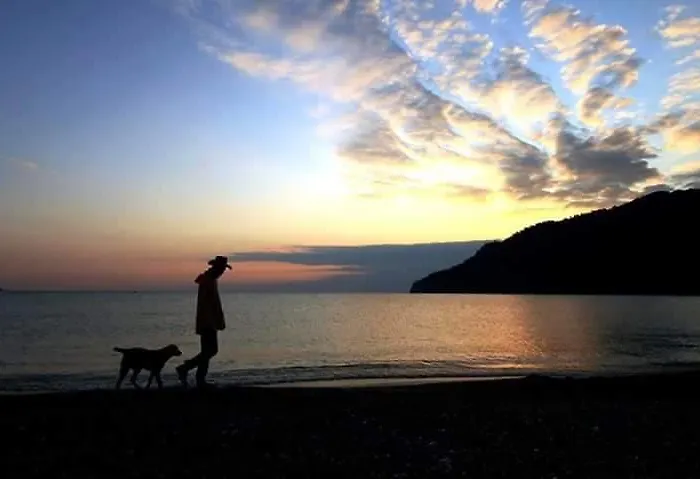 Adrasan Gelidonya Hotel Szálloda 2*