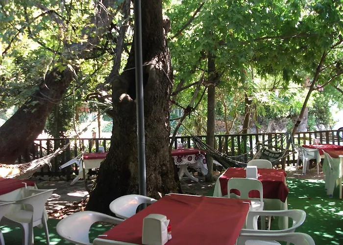 Adrasan Gelidonya Hotel 2* Адрасан