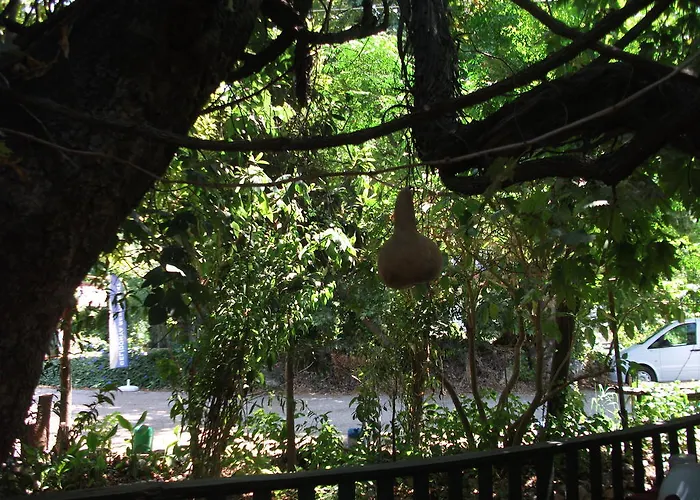 Szálloda Adrasan Gelidonya Hotel