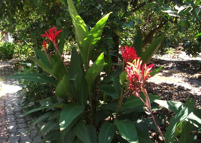 Adrasan Gelidonya Hotel