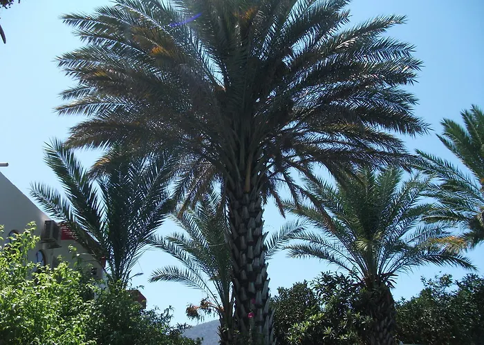 Adrasan Gelidonya Hotel 2* Adrasan