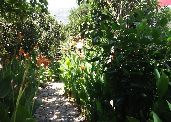 Szálloda Adrasan Gelidonya Hotel 2*