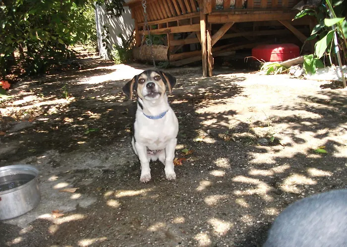 Adrasan Gelidonya Hotel Отель 2*